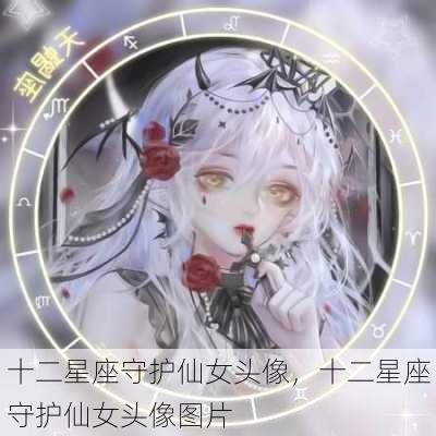 十二星座守护仙女头像，十二星座守护仙女头像图片