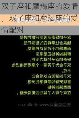 双子座和摩羯座的爱情，双子座和摩羯座的爱情配对