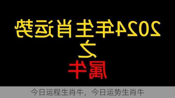 今日运程生肖牛，今日运势生肖牛