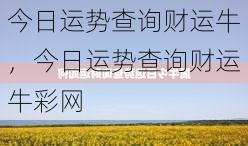 今日运势查询财运牛，今日运势查询财运牛彩网