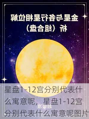 星盘1-12宫分别代表什么寓意呢，星盘1-12宫分别代表什么寓意呢图片