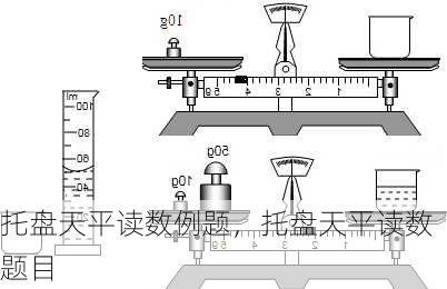 托盘天平读数例题，托盘天平读数题目