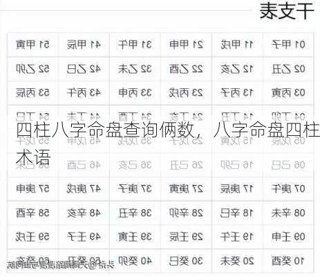 四柱八字命盘查询俩数，八字命盘四柱术语