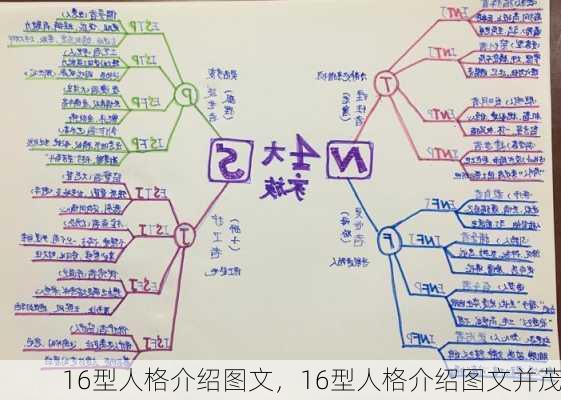 16型人格介绍图文，16型人格介绍图文并茂