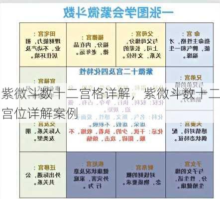 紫微斗数十二宫格详解，紫微斗数十二宫位详解案例