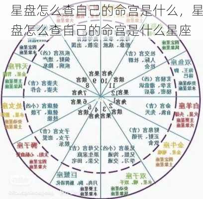 星盘怎么查自己的命宫是什么，星盘怎么查自己的命宫是什么星座