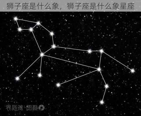 狮子座是什么象，狮子座是什么象星座