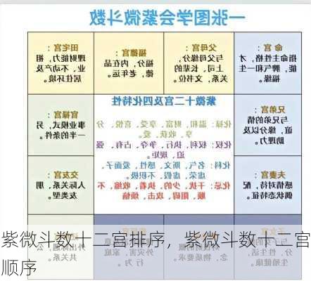 紫微斗数十二宫排序，紫微斗数十二宫顺序