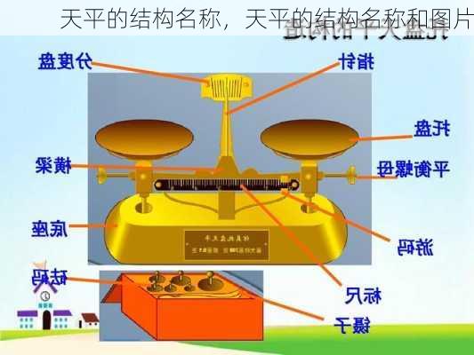 天平的结构名称，天平的结构名称和图片