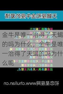 金牛是唯一治得了天蝎的吗为什么，金牛是唯一治得了天蝎的吗为什么呢