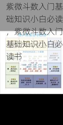 紫微斗数入门基础知识小白必读，紫微斗数入门基础知识小白必读书