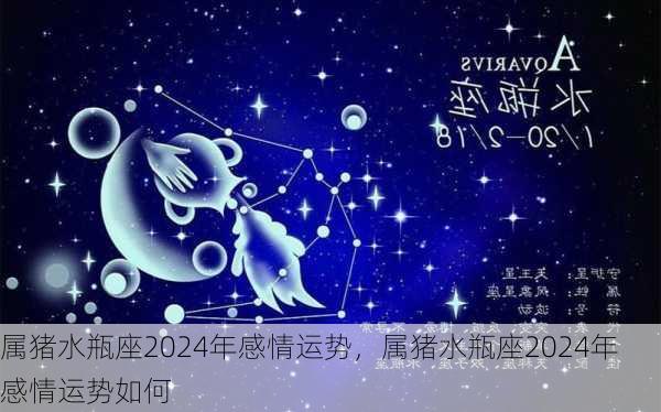 属猪水瓶座2024年感情运势，属猪水瓶座2024年感情运势如何