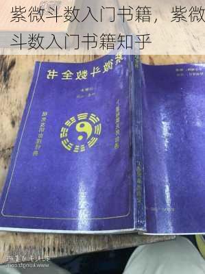 紫微斗数入门书籍，紫微斗数入门书籍知乎