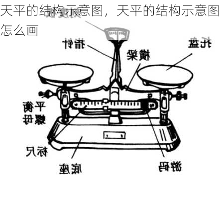 天平的结构示意图，天平的结构示意图怎么画