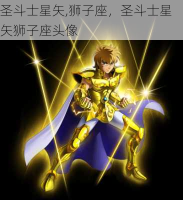 圣斗士星矢,狮子座，圣斗士星矢狮子座头像