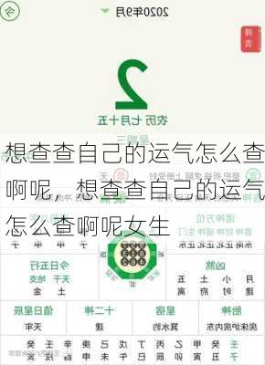 想查查自己的运气怎么查啊呢，想查查自己的运气怎么查啊呢女生