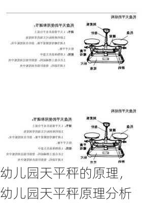 幼儿园天平秤的原理，幼儿园天平秤原理分析