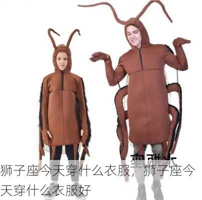 狮子座今天穿什么衣服，狮子座今天穿什么衣服好