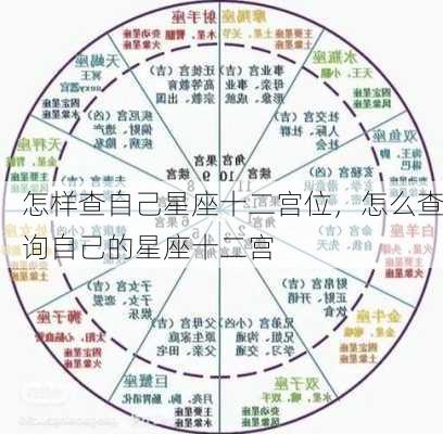 怎样查自己星座十二宫位，怎么查询自己的星座十二宫