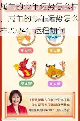 属羊的今年运势怎么样，属羊的今年运势怎么样2024年运程如何