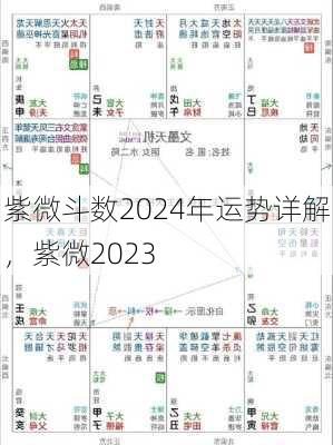 紫微斗数2024年运势详解，紫微2023