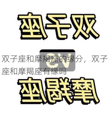 双子座和摩羯座的缘分，双子座和摩羯座有缘吗