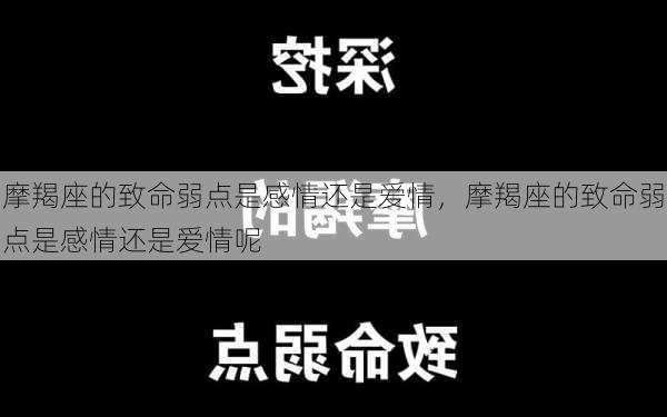 摩羯座的致命弱点是感情还是爱情，摩羯座的致命弱点是感情还是爱情呢