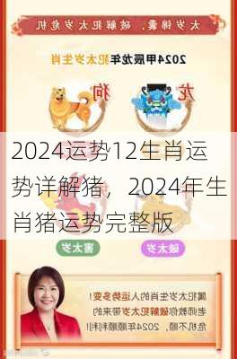 2024运势12生肖运势详解猪，2024年生肖猪运势完整版