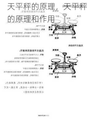 天平秤的原理，天平秤的原理和作用