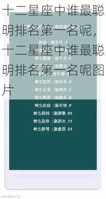 十二星座中谁最聪明排名第一名呢，十二星座中谁最聪明排名第一名呢图片