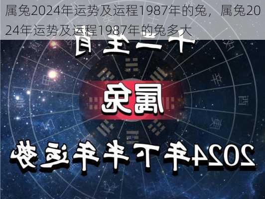 属兔2024年运势及运程1987年的兔，属兔2024年运势及运程1987年的兔多大