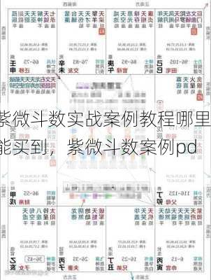 紫微斗数实战案例教程哪里能买到，紫微斗数案例pdf