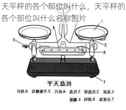 天平秤的各个部位叫什么，天平秤的各个部位叫什么名称图片