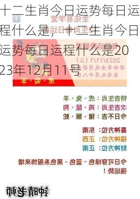 十二生肖今日运势每日运程什么是，十二生肖今日运势每日运程什么是2023年12月11号