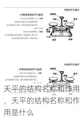 天平的结构名称和作用，天平的结构名称和作用是什么