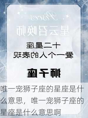 唯一宠狮子座的星座是什么意思，唯一宠狮子座的星座是什么意思啊