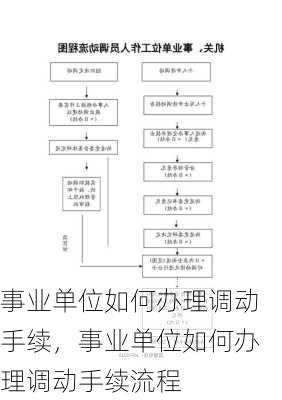 事业单位如何办理调动手续，事业单位如何办理调动手续流程