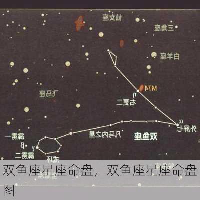 双鱼座星座命盘，双鱼座星座命盘图