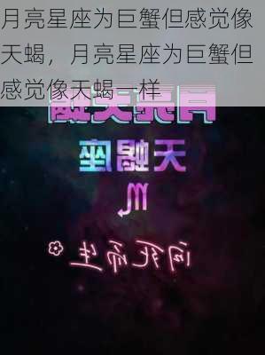 月亮星座为巨蟹但感觉像天蝎，月亮星座为巨蟹但感觉像天蝎一样