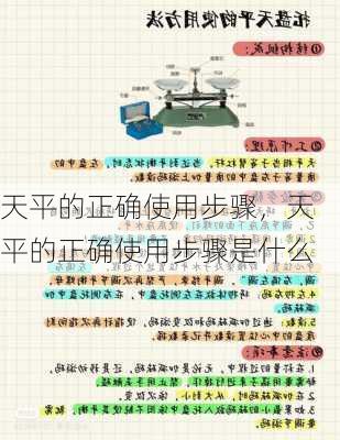 天平的正确使用步骤，天平的正确使用步骤是什么