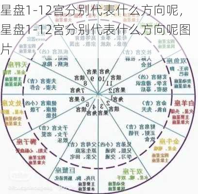 星盘1-12宫分别代表什么方向呢，星盘1-12宫分别代表什么方向呢图片