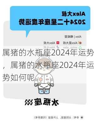 属猪的水瓶座2024年运势，属猪的水瓶座2024年运势如何呢