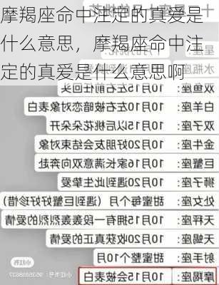 摩羯座命中注定的真爱是什么意思，摩羯座命中注定的真爱是什么意思啊