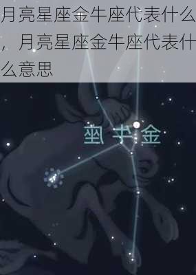 月亮星座金牛座代表什么，月亮星座金牛座代表什么意思