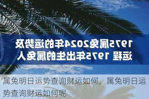 属兔明日运势查询财运如何，属兔明日运势查询财运如何呢