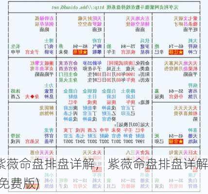 紫薇命盘排盘详解，紫薇命盘排盘详解(免费版)