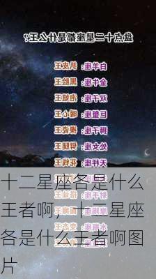 十二星座各是什么王者啊，十二星座各是什么王者啊图片