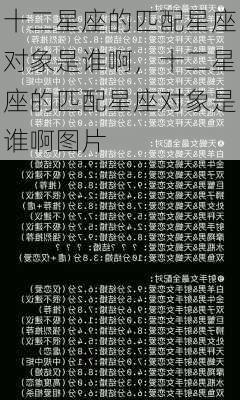 十二星座的匹配星座对象是谁啊，十二星座的匹配星座对象是谁啊图片