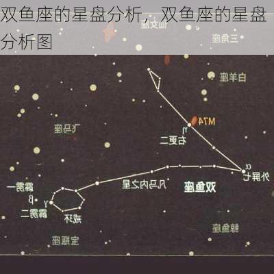 双鱼座的星盘分析，双鱼座的星盘分析图