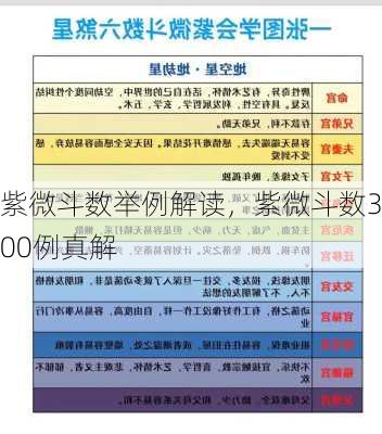 紫微斗数举例解读，紫微斗数300例真解